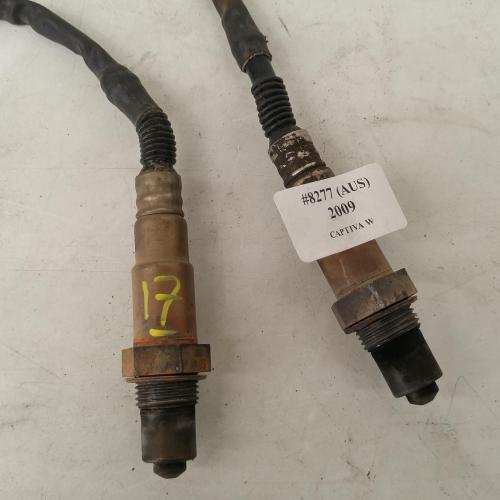 oxygen sensor