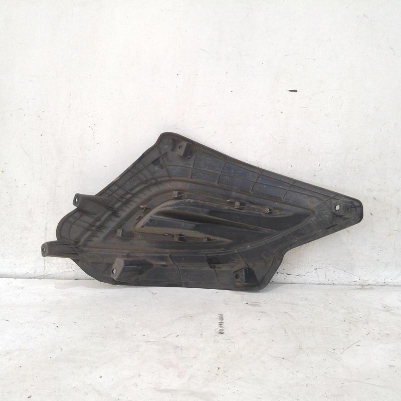 indicator/fog/side right