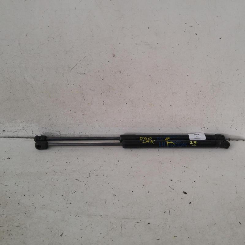 hatch strut