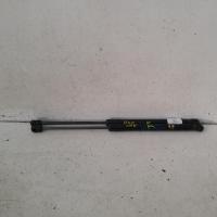 hatch strut