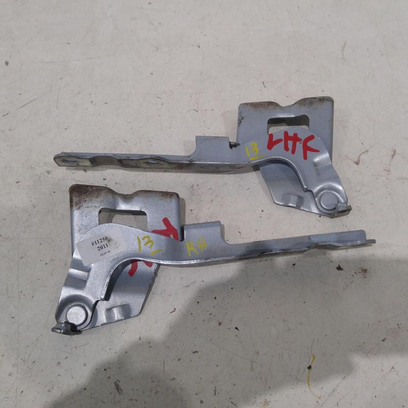 bonnet hinge/strut