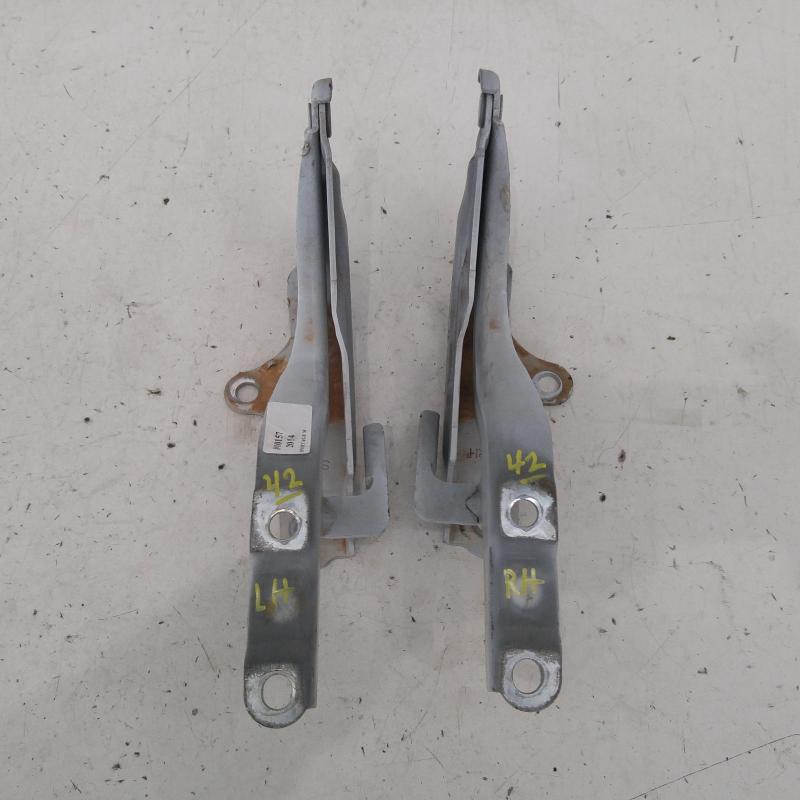 bonnet hinge/strut