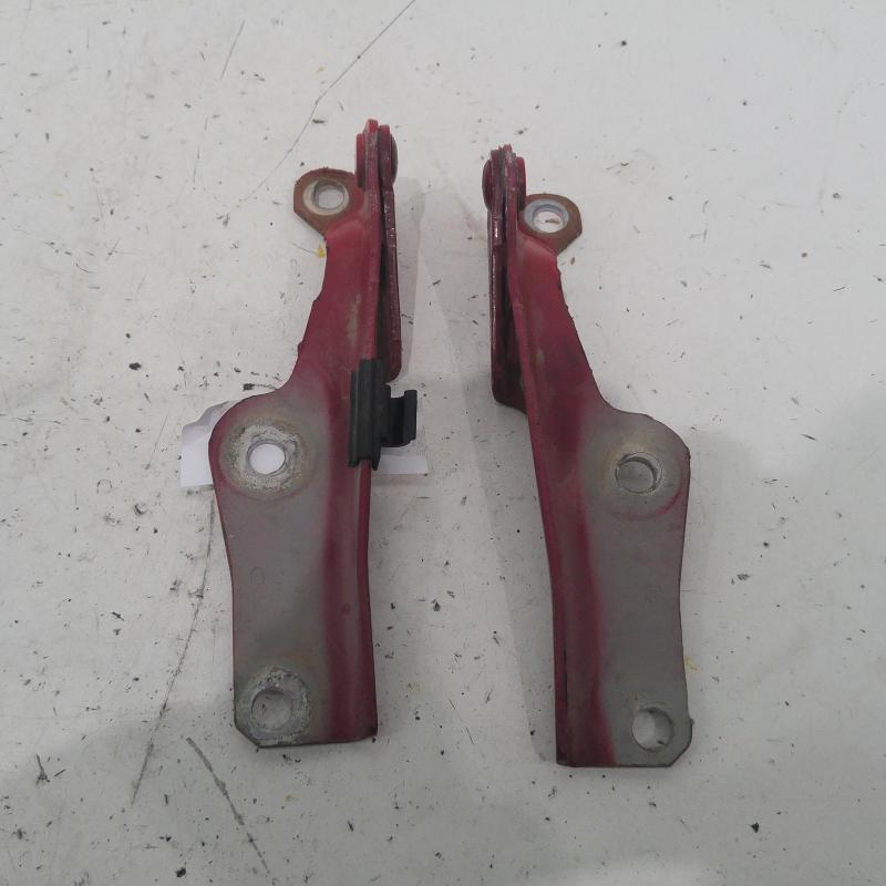 bonnet hinge/strut