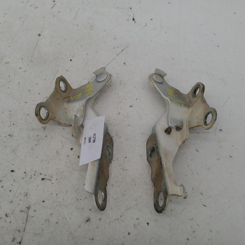 bonnet hinge/strut
