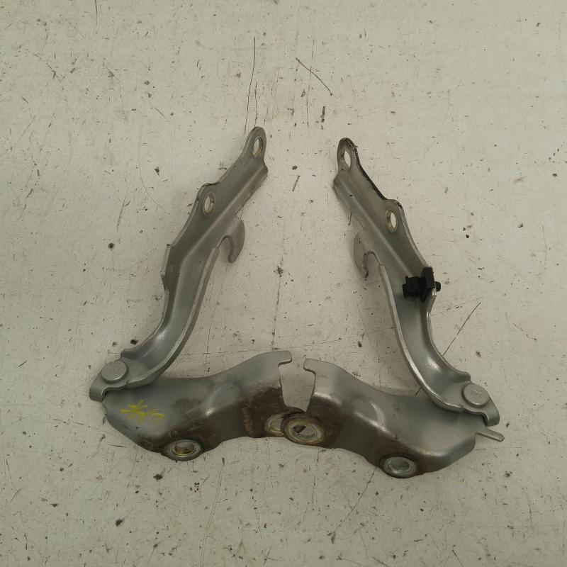 bonnet hinge/strut