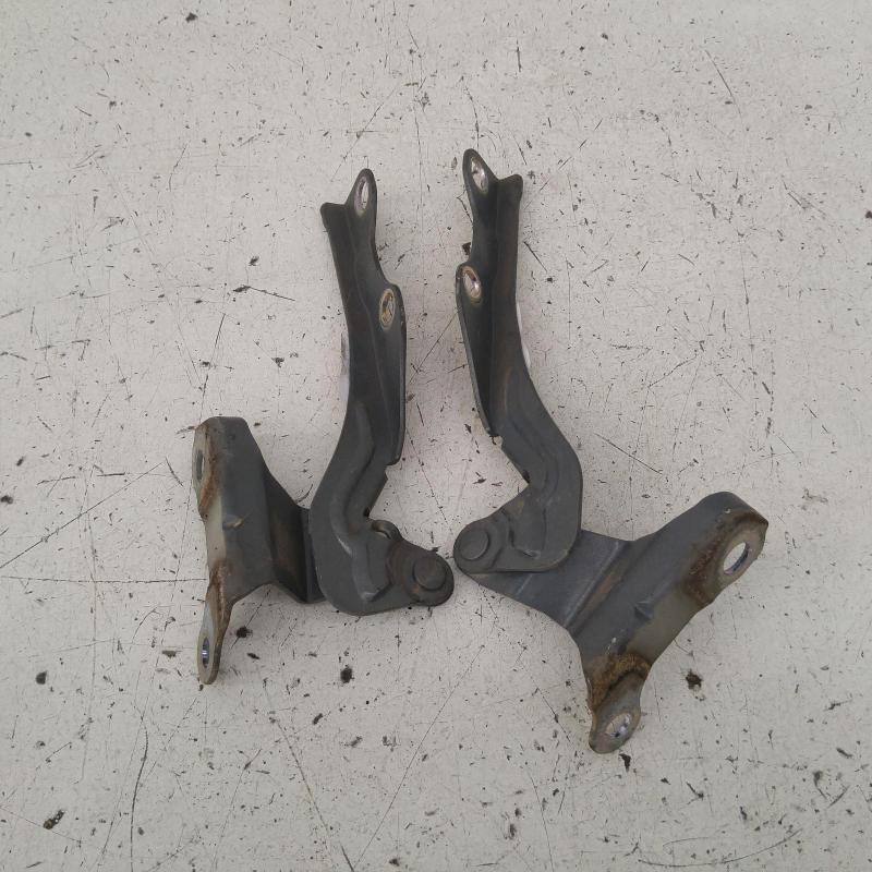 bonnet hinge/strut