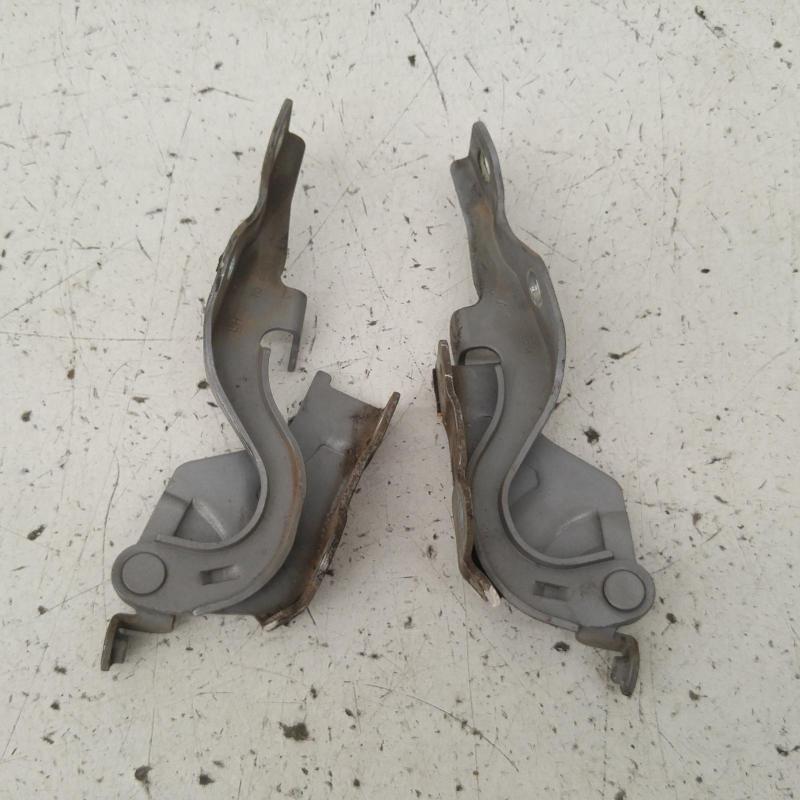 bonnet hinge/strut