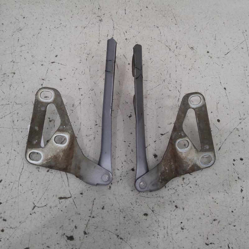 bonnet hinge/strut