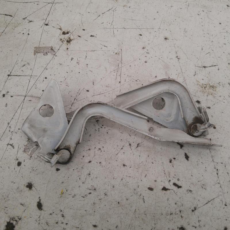 bonnet hinge/strut