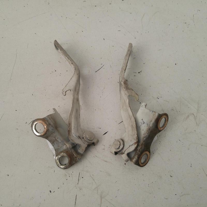 bonnet hinge/strut