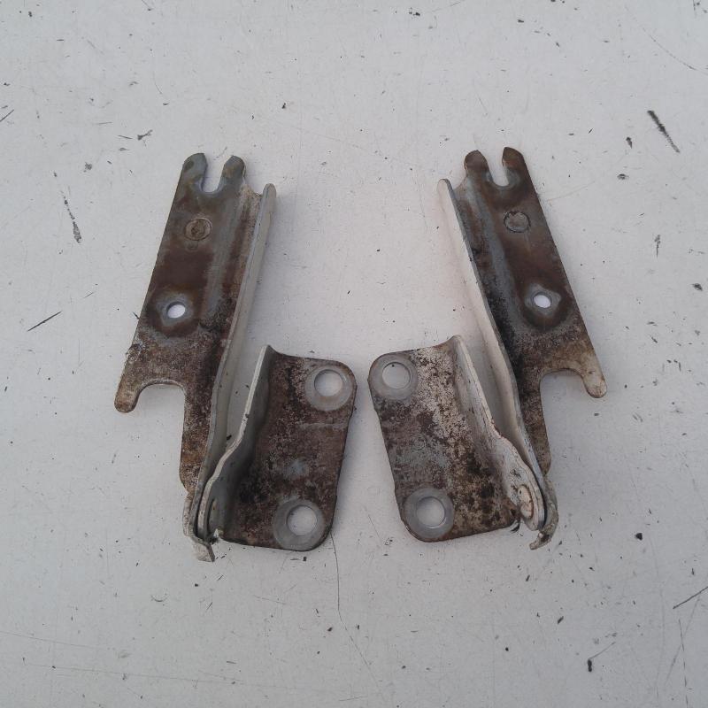 bonnet hinge/strut