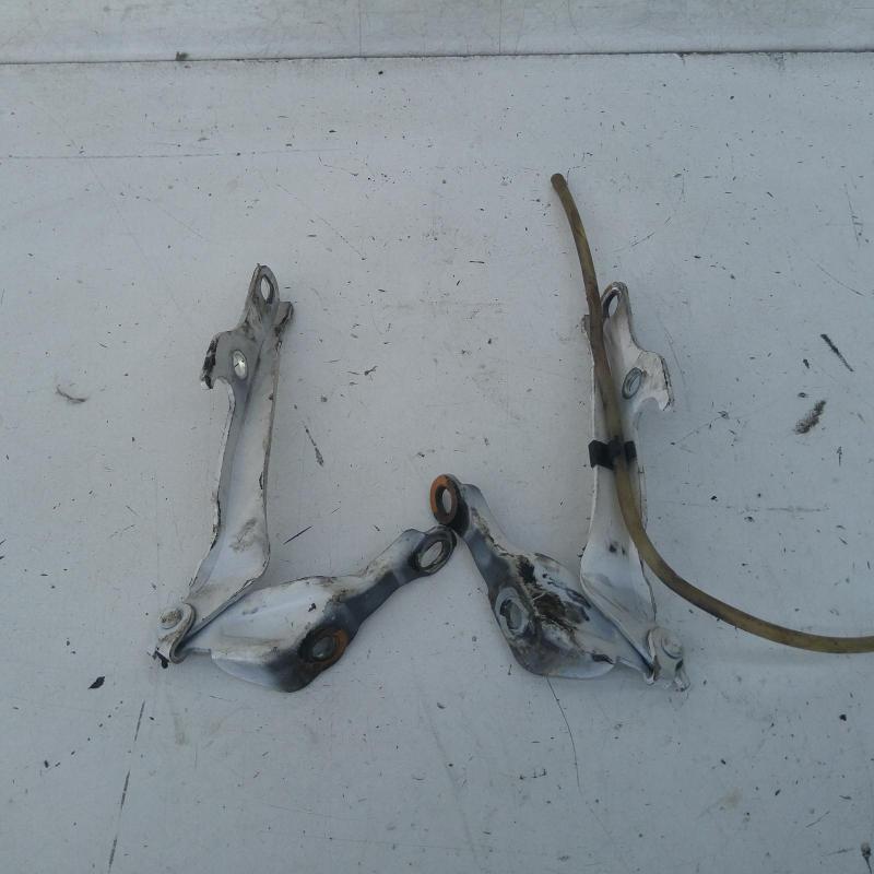 bonnet hinge/strut