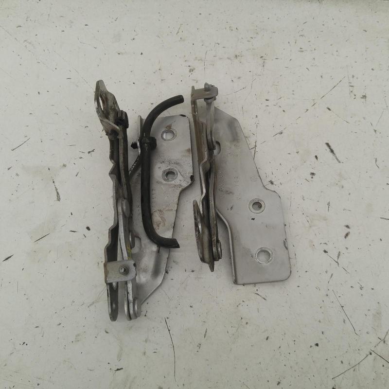 bonnet hinge/strut