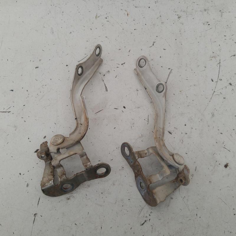 bonnet hinge/strut