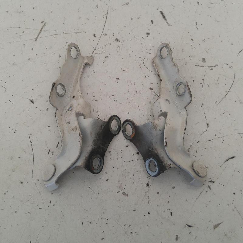 bonnet hinge/strut