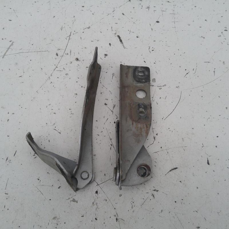 bonnet hinge/strut