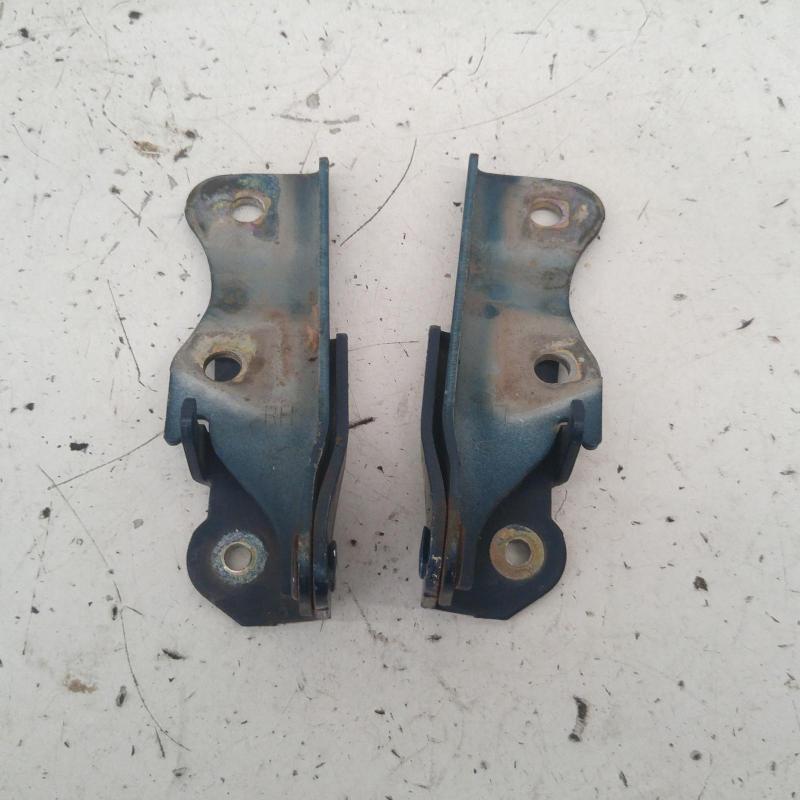 bonnet hinge/strut