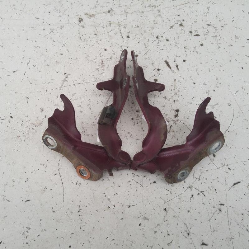 bonnet hinge/strut