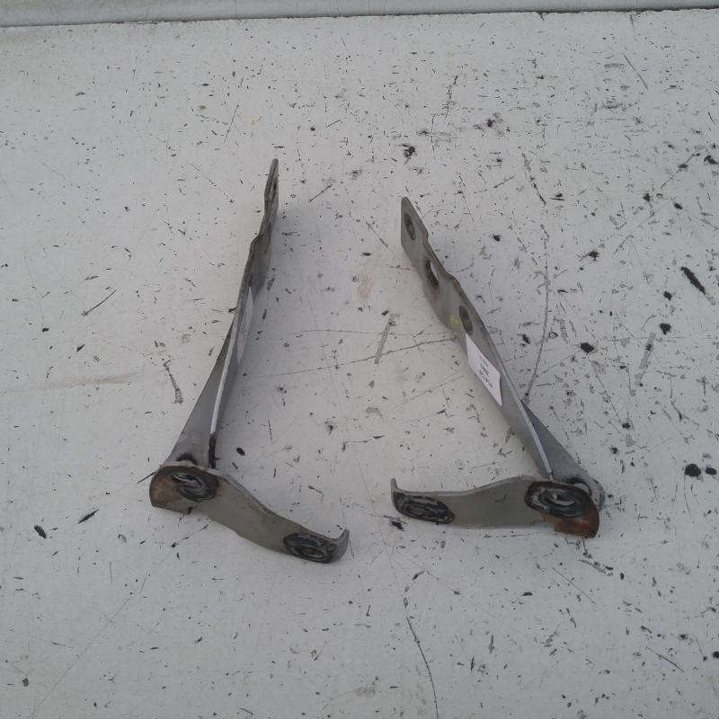 bonnet hinge/strut