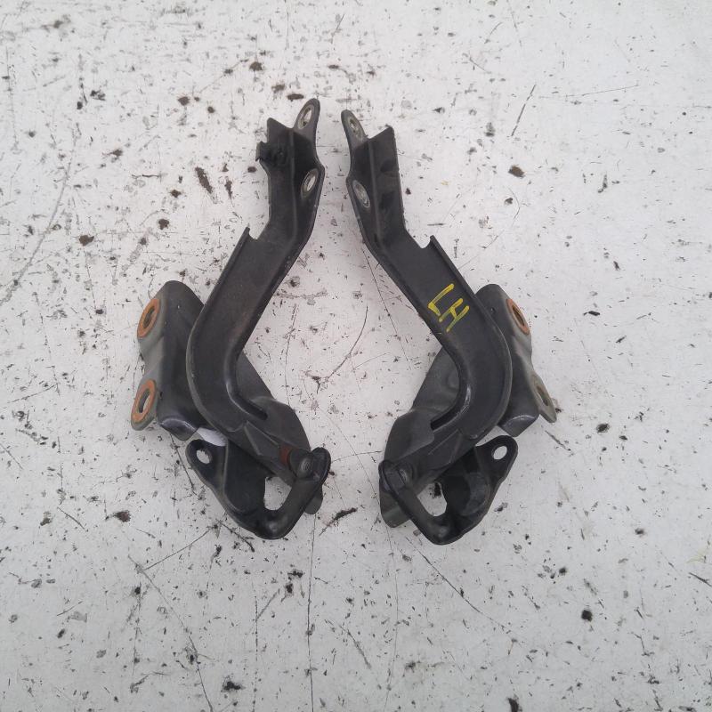 bonnet hinge/strut