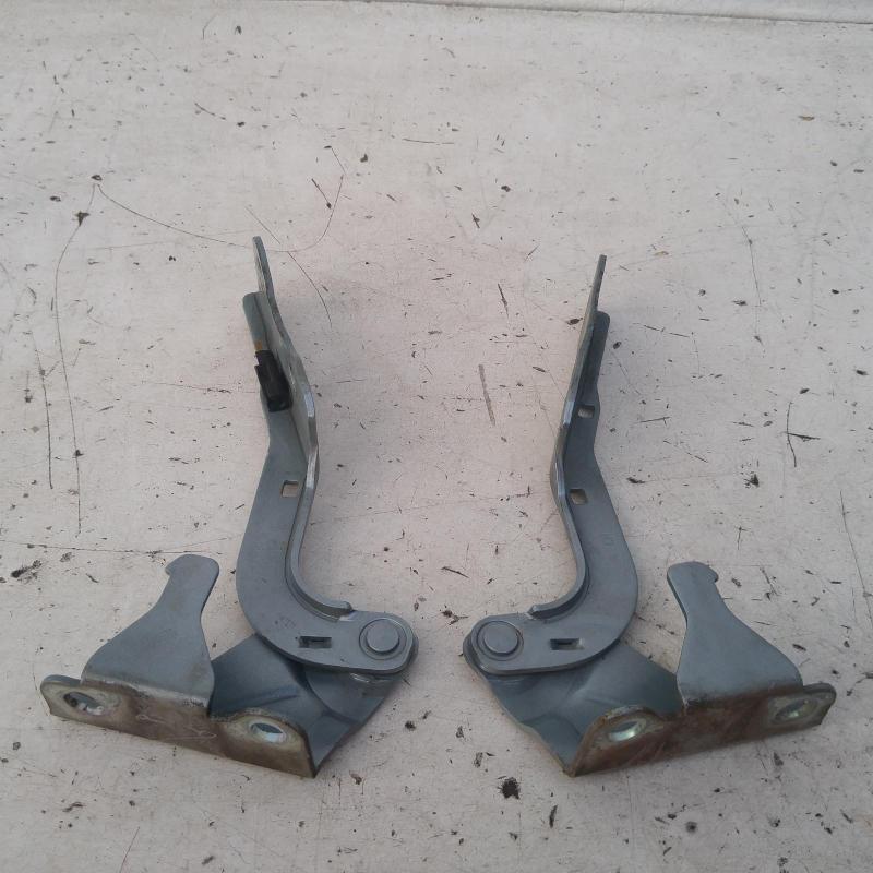 bonnet hinge/strut