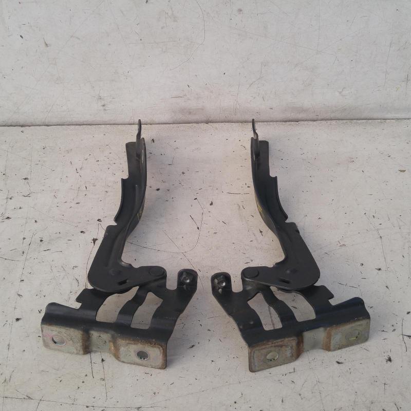 bonnet hinge/strut