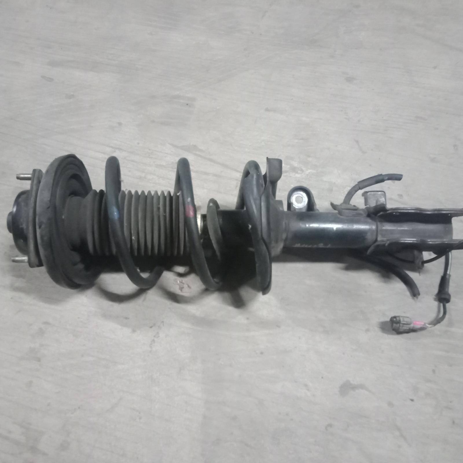 Search result for Nissan Elgrand|Aus Auto Parts(11)