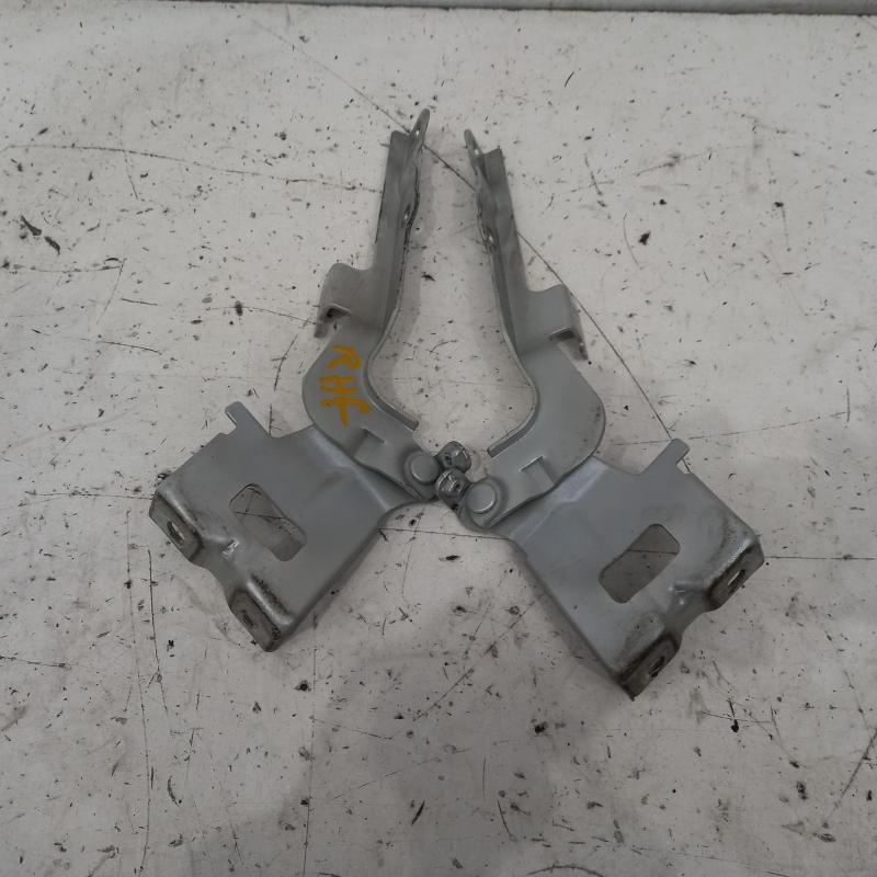 bonnet hinge/strut