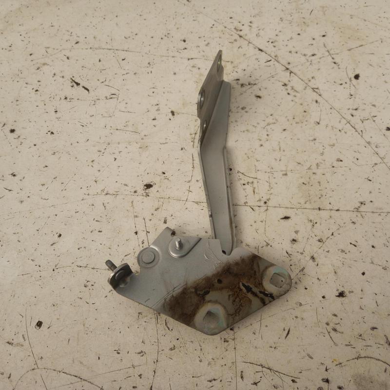 bonnet hinge/strut
