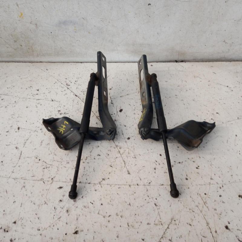 bonnet hinge/strut