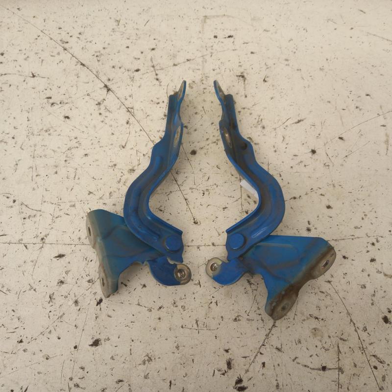 bonnet hinge/strut