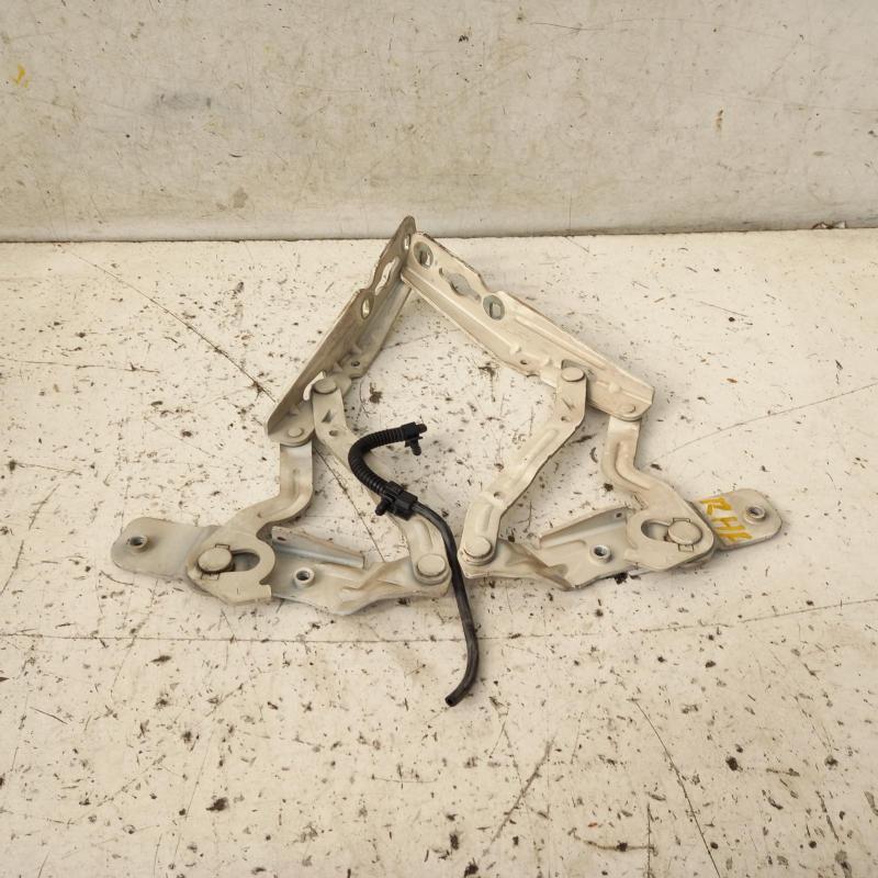 bonnet hinge/strut