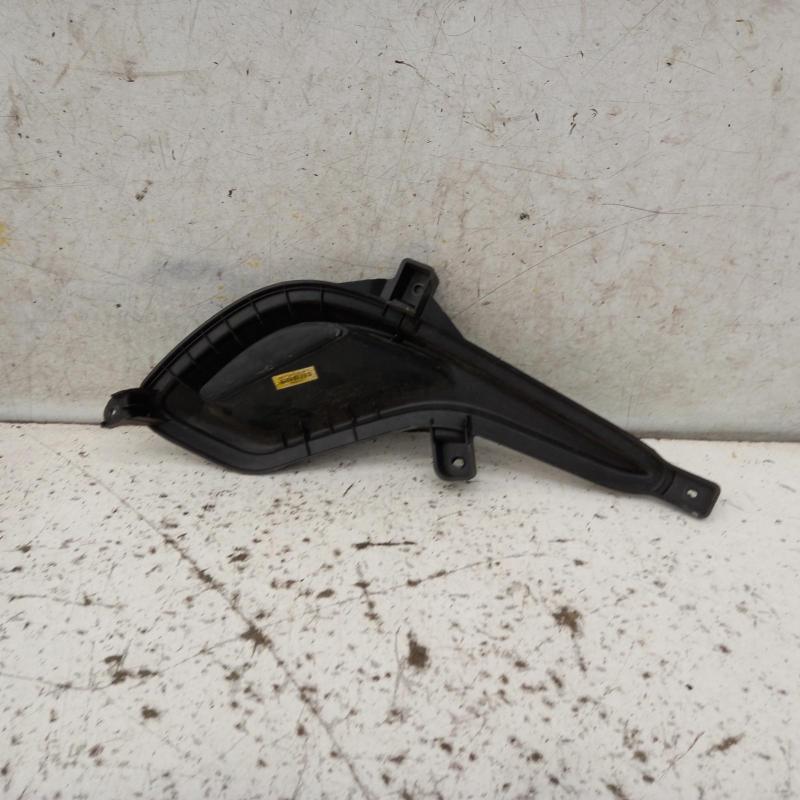 indicator/fog/side right