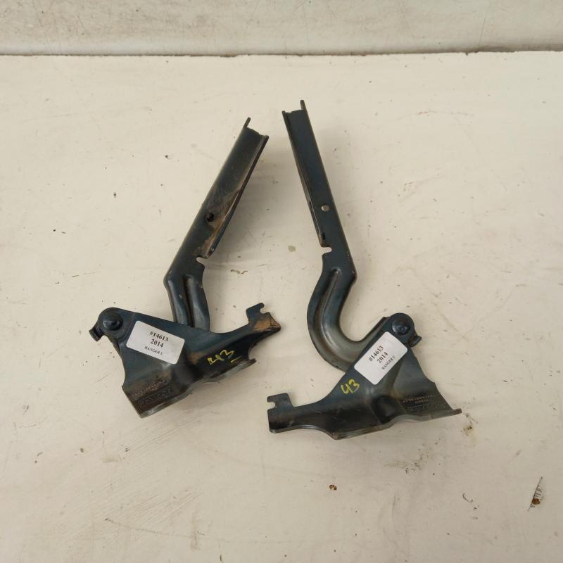 bonnet hinge/strut