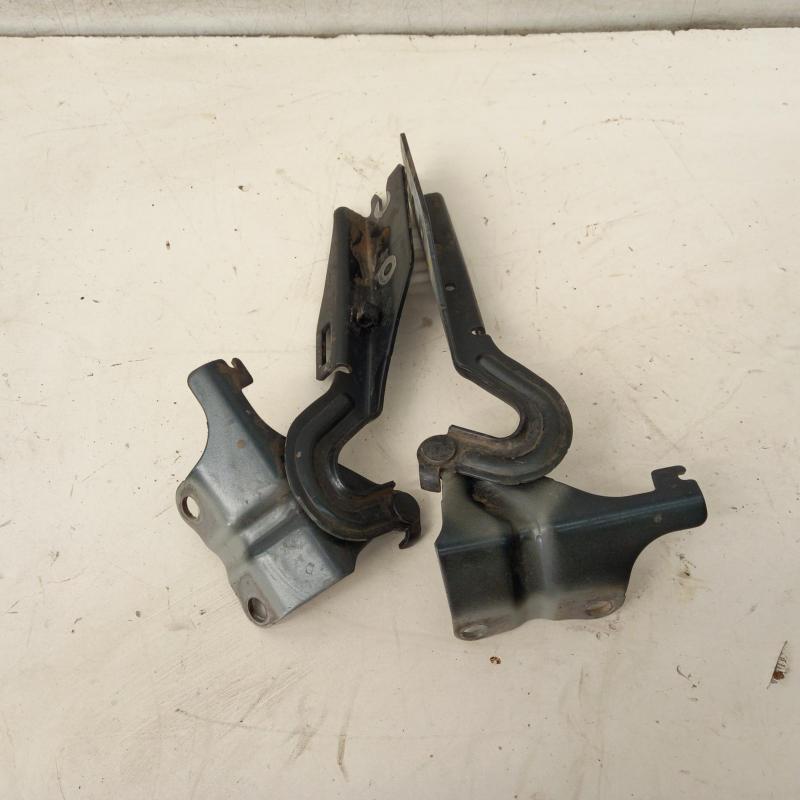 bonnet hinge/strut