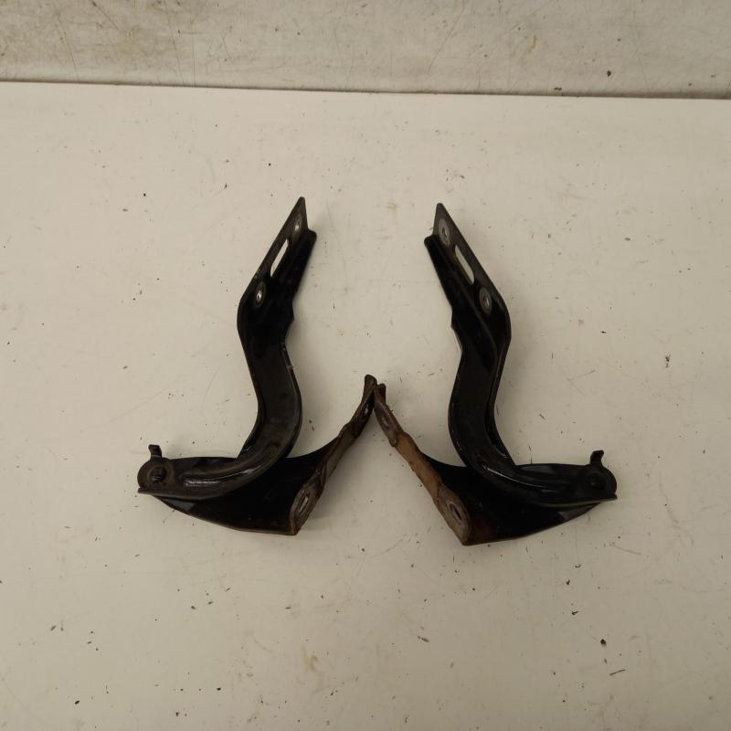 bonnet hinge/strut