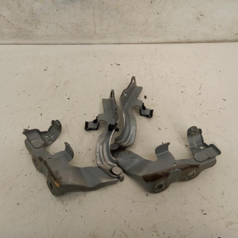 bonnet hinge/strut
