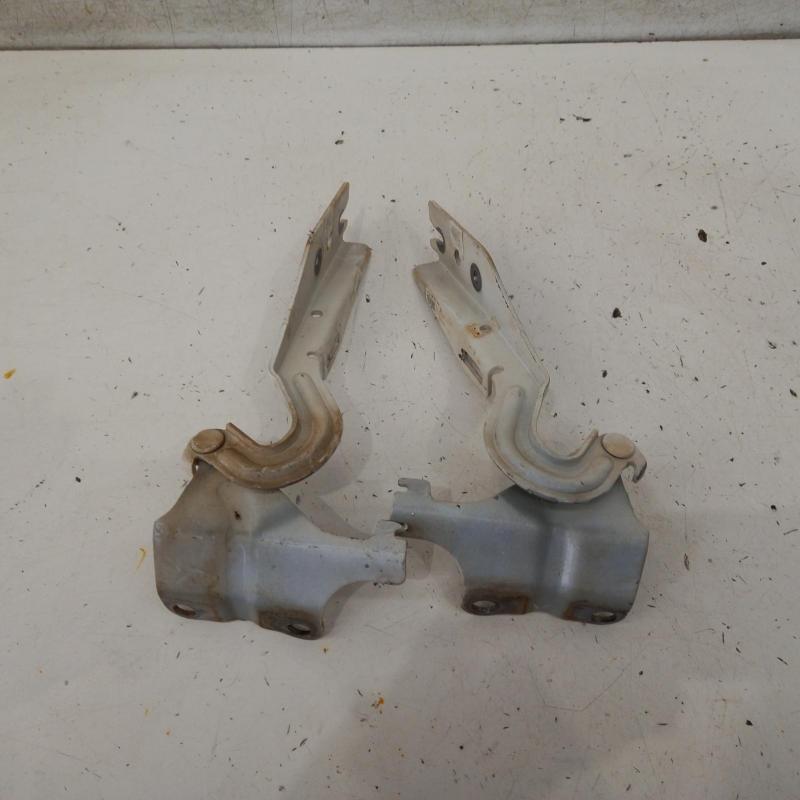 bonnet hinge/strut