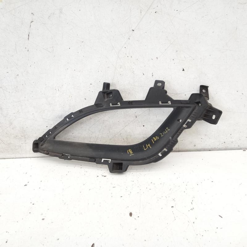 indicator/fog/side left