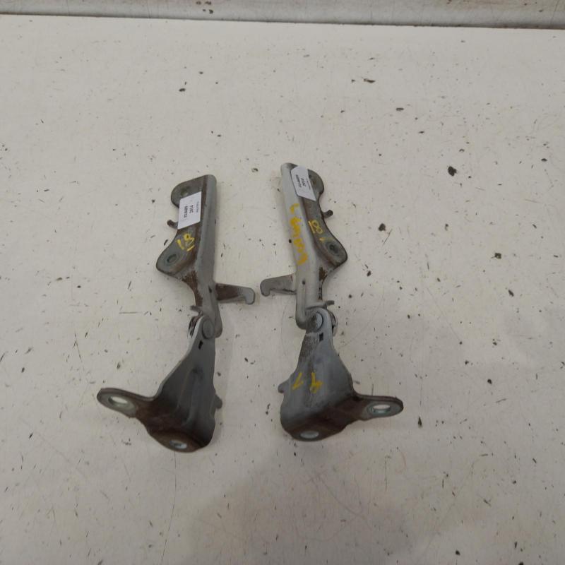 bonnet hinge/strut