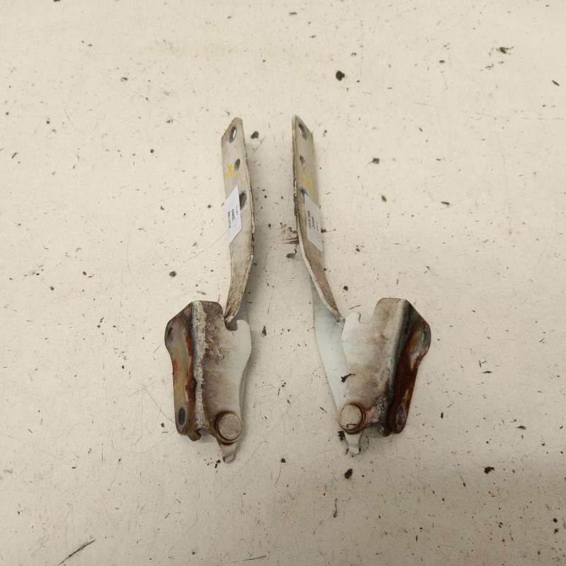 bonnet hinge/strut