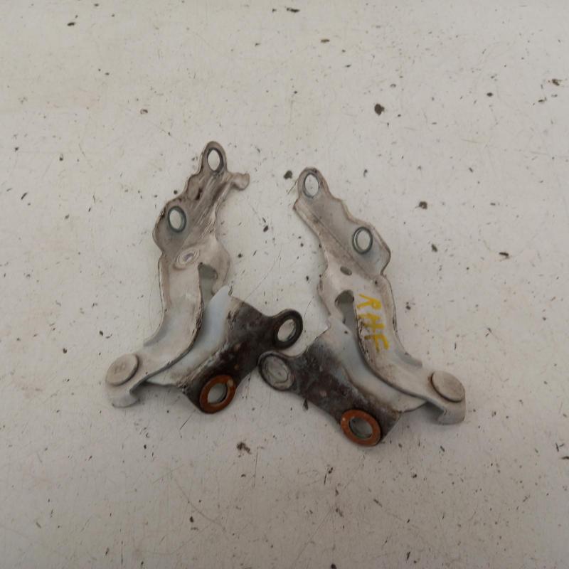 bonnet hinge/strut