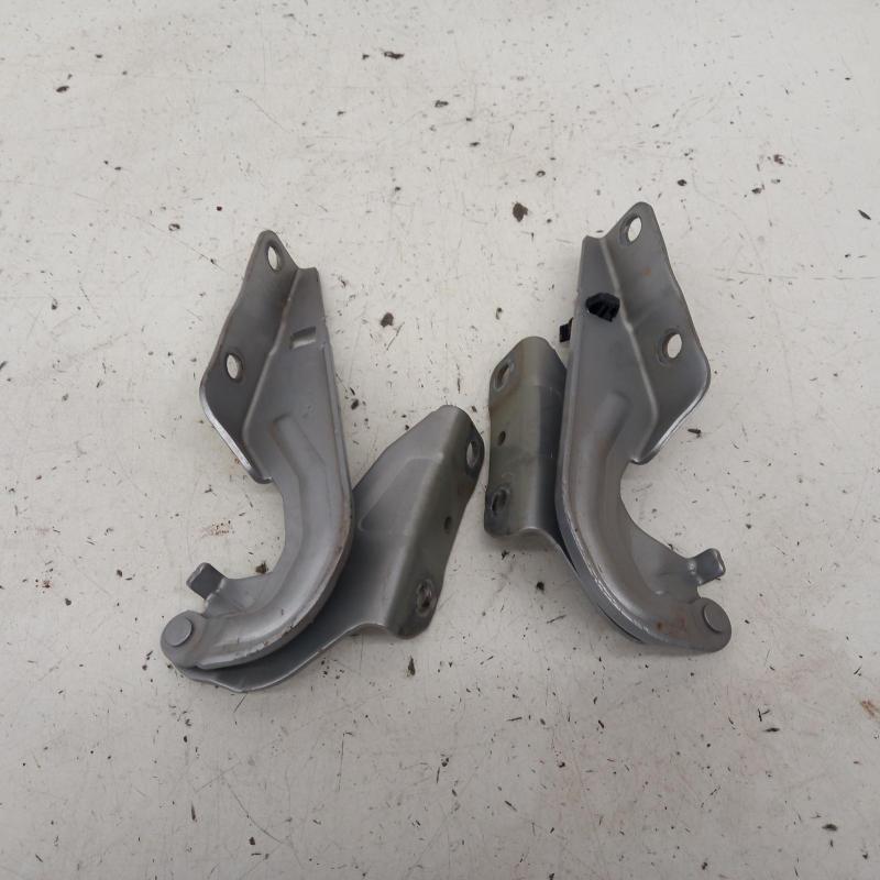 bonnet hinge/strut