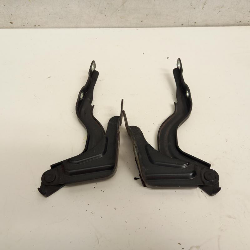 bonnet hinge/strut