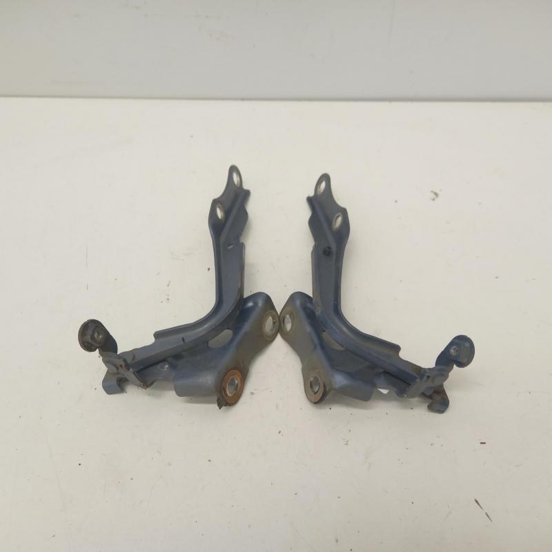 bonnet hinge/strut
