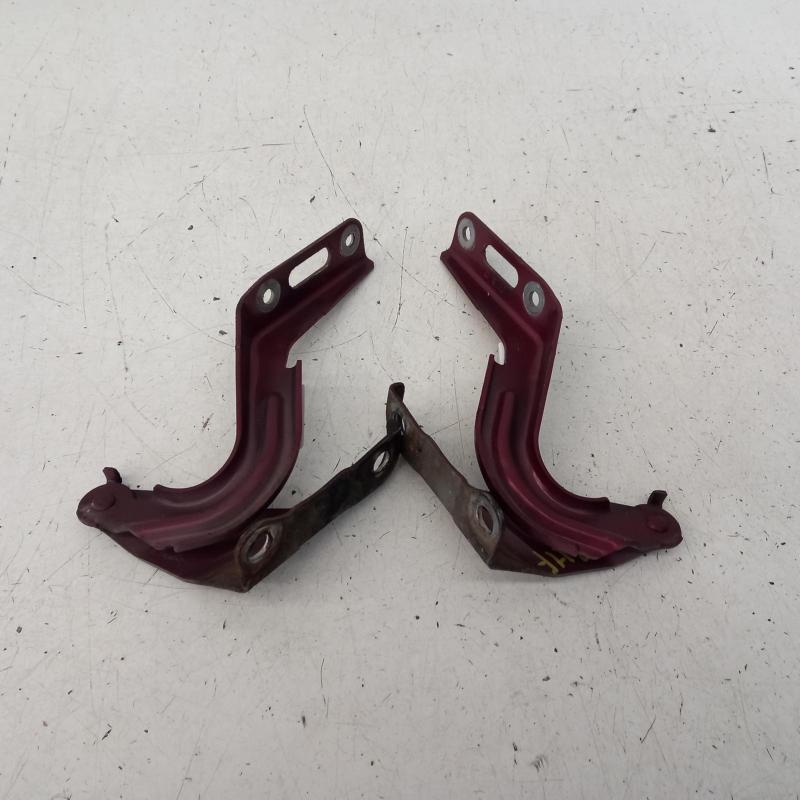 bonnet hinge/strut