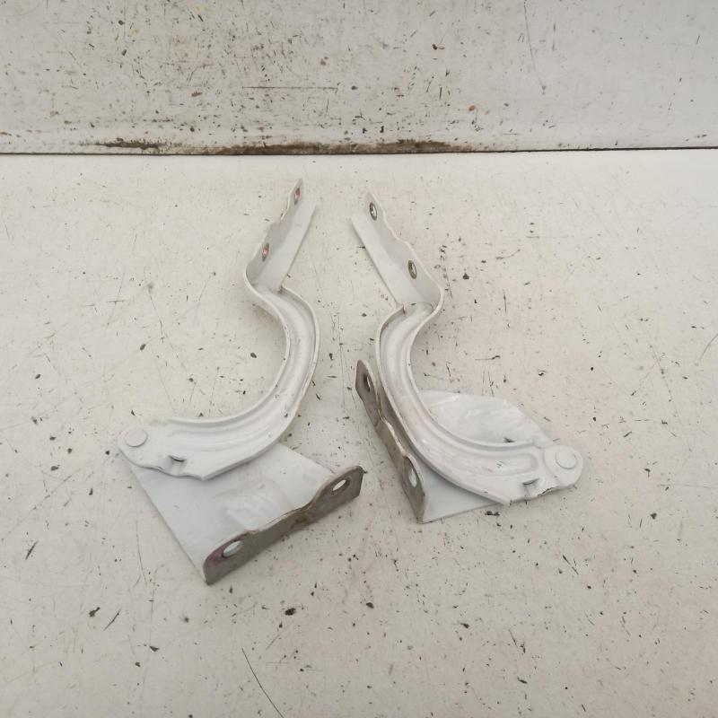bonnet hinge/strut