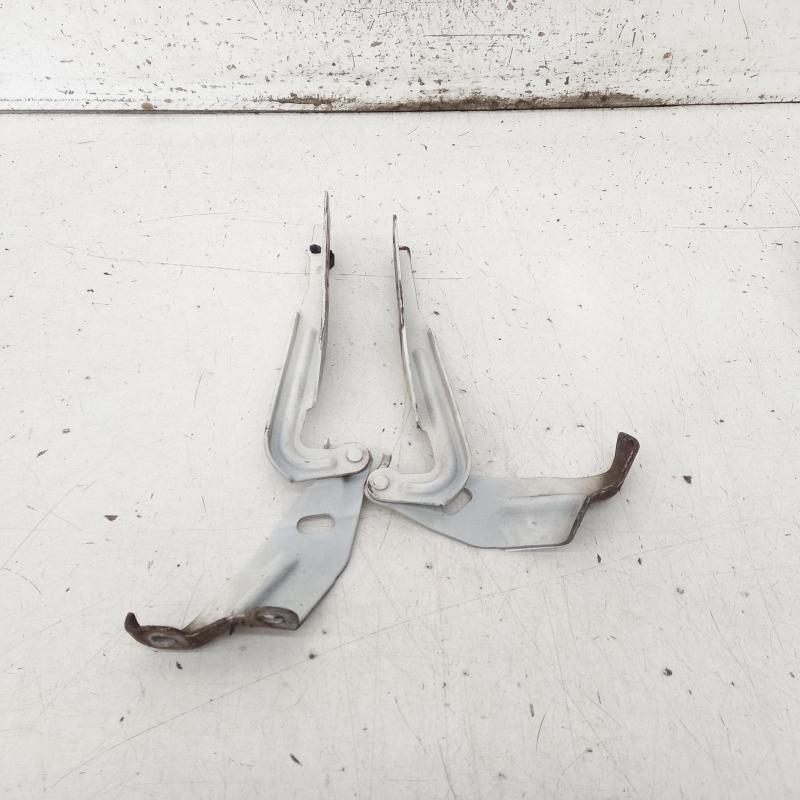 bonnet hinge/strut
