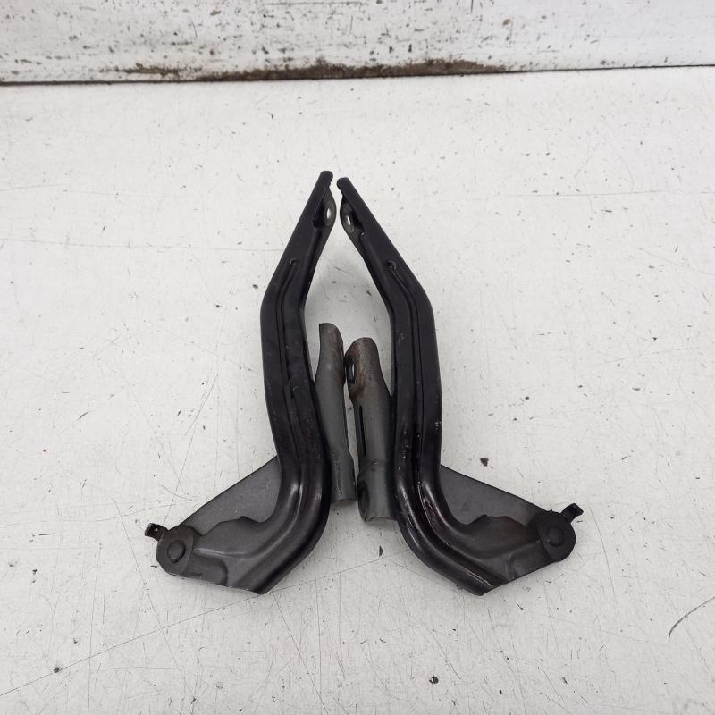 bonnet hinge/strut