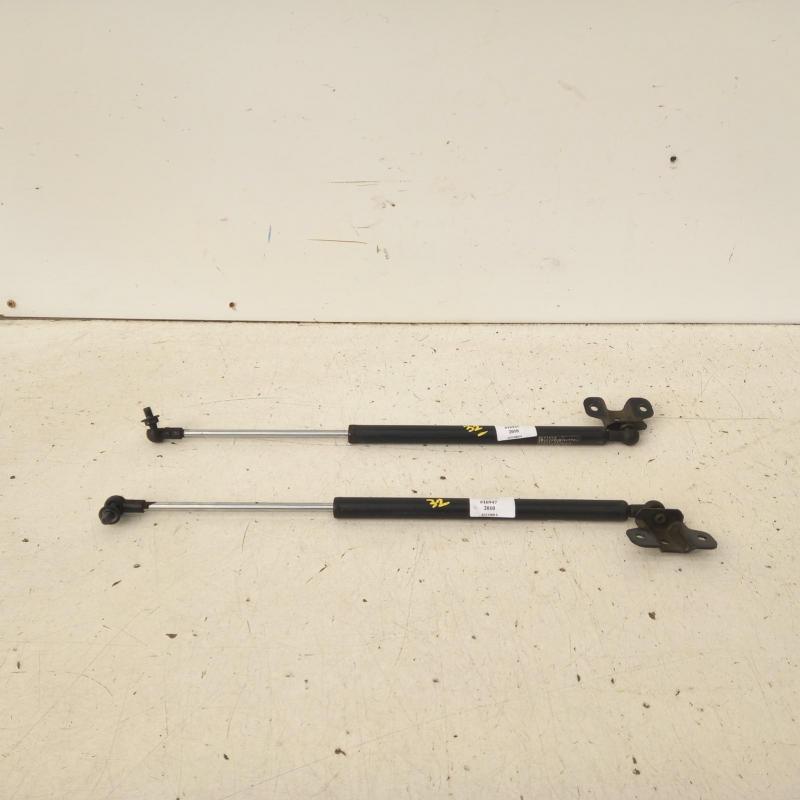 hatch strut